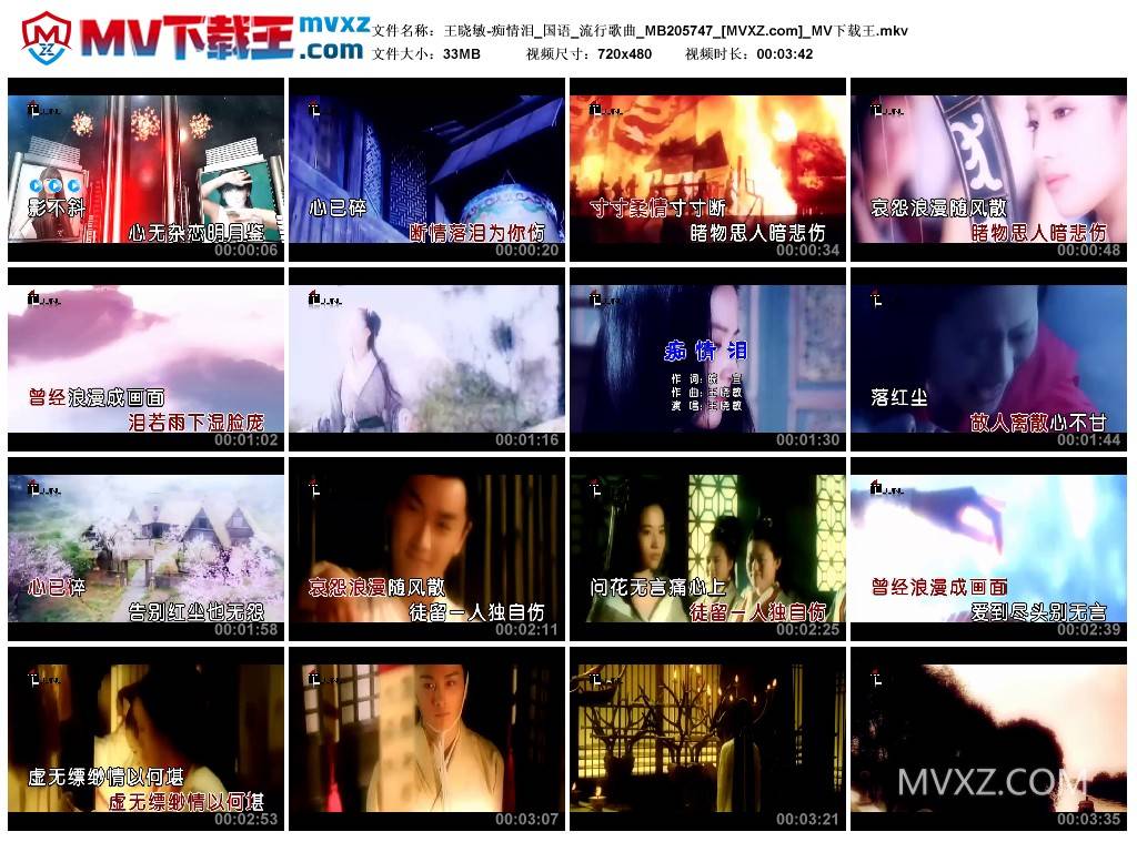 王晓敏-痴情泪_国语_流行歌曲_MB205747